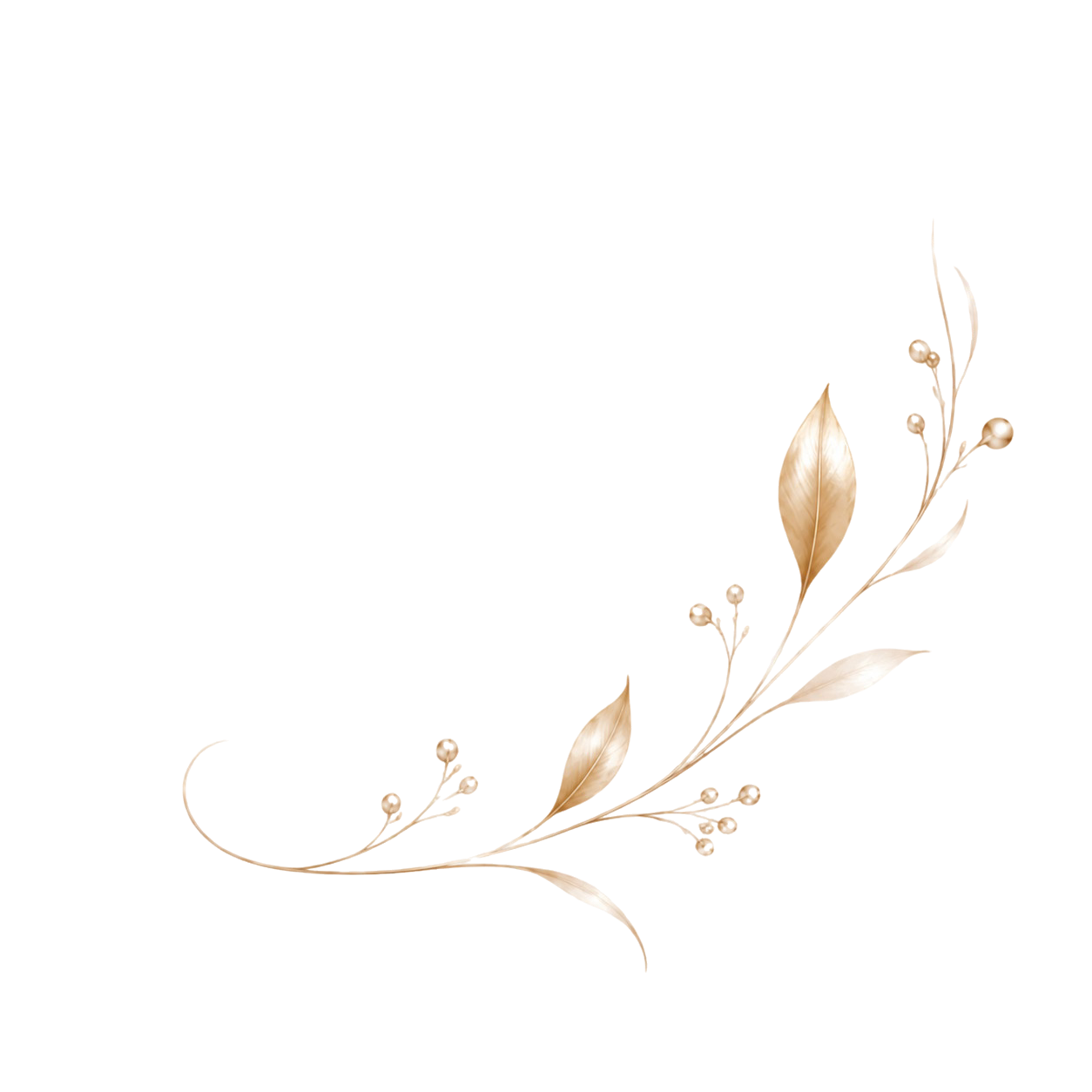Tefani